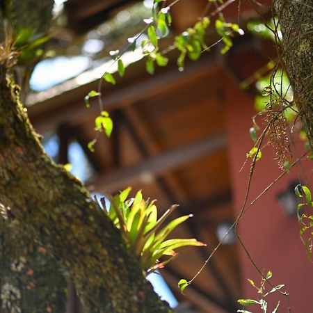 Campos do JordãoBadenwein别墅 外观 照片